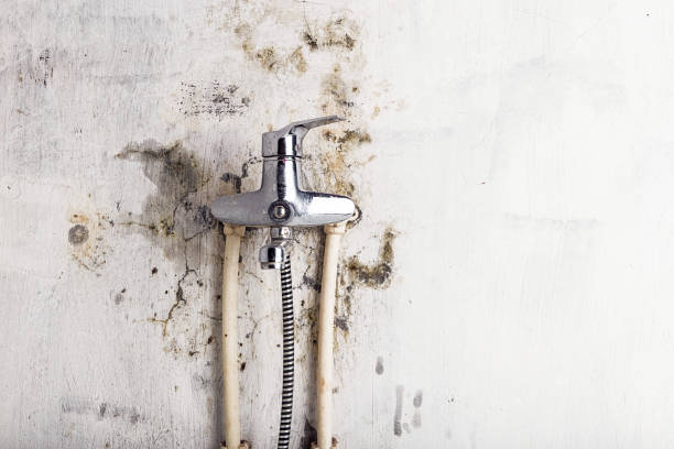 Water Damage Restoration in Riverton, UT